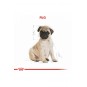 Pug Puppy Yavru Köpek Maması 1,5 Kg Pug Puppy Yavru Köpek Maması 1,5 Kg