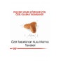 Pug Puppy Yavru Köpek Maması 1,5 Kg Pug Puppy Yavru Köpek Maması 1,5 Kg