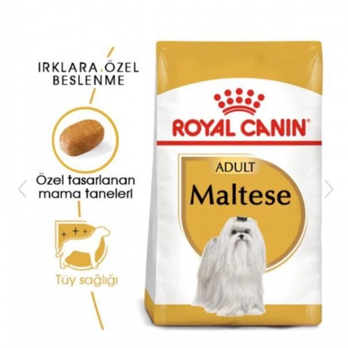 Maltese Terrier Yetişkin Köpek Maması 1,5kg