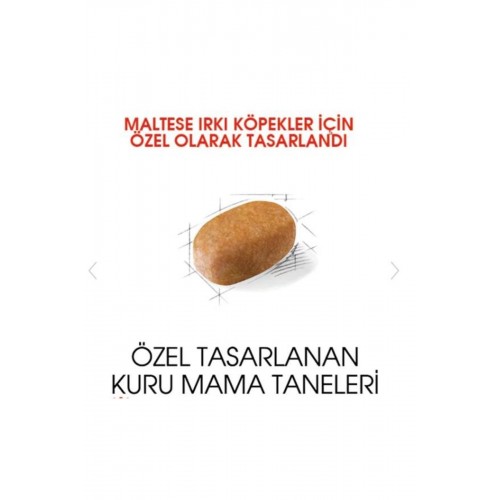 Maltese Terrier Yetişkin Köpek Maması 1,5kg Maltese Terrier Yetişkin Köpek Maması 1,5kg