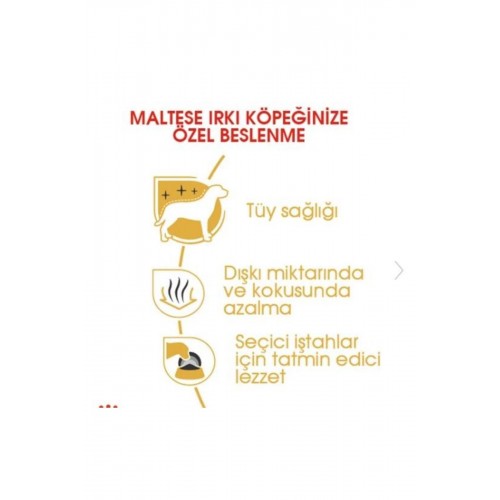 Maltese Terrier Yetişkin Köpek Maması 1,5kg Maltese Terrier Yetişkin Köpek Maması 1,5kg