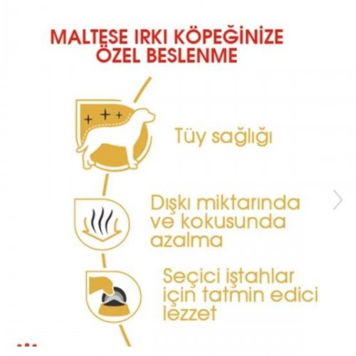 Maltese Terrier Yetişkin Köpek Maması 1,5kg