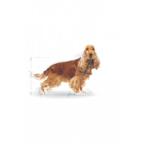 ® Cocker Adult 3 Kg ® Cocker Adult 3 Kg