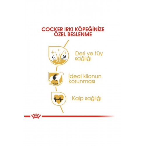 ® Cocker Adult 3 Kg ® Cocker Adult 3 Kg