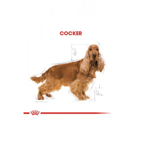 ® Cocker Adult 3 Kg ® Cocker Adult 3 Kg