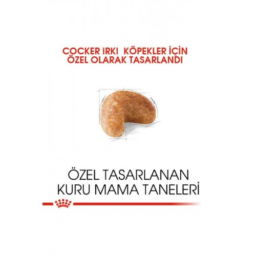 ® Cocker Adult 3 Kg ® Cocker Adult 3 Kg