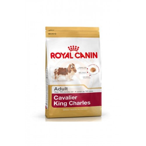 Cavalier Charles Yetişkin Köpek Maması - 1,5 Kg Cavalier Charles Yetişkin Köpek Maması - 1,5 Kg