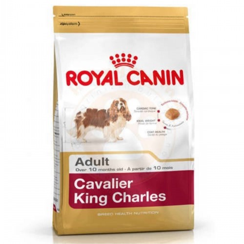 Cavalier Charles Yetişkin Köpek Maması - 1,5 Kg Cavalier Charles Yetişkin Köpek Maması - 1,5 Kg