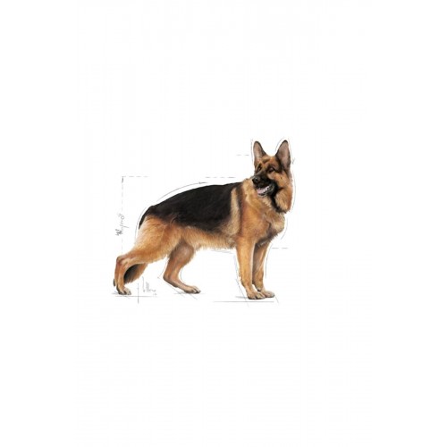 Maxi Adult Büyük Köpek Maması 15 Kg Maxi Adult Büyük Köpek Maması 15 Kg