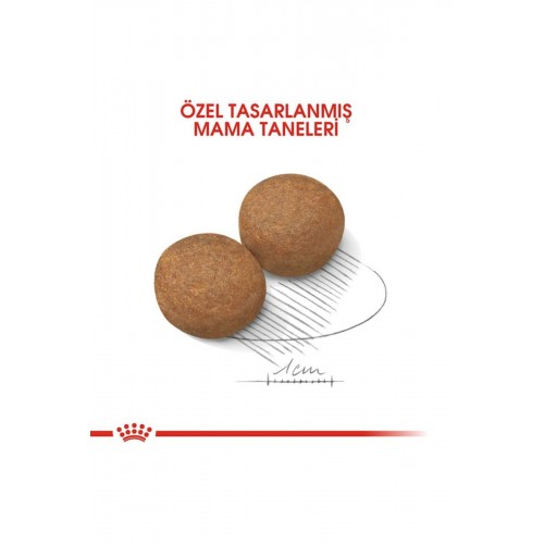 Maxi Adult Büyük Köpek Maması 15 Kg Maxi Adult Büyük Köpek Maması 15 Kg