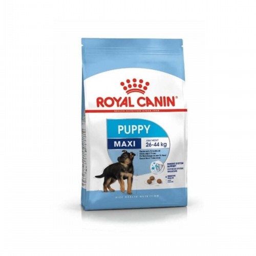 Maxi Puppy Büyük Irk Yavru Köpek Maması 15 Kg