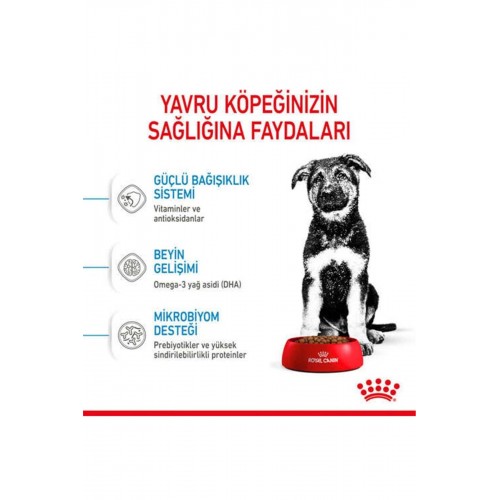 Maxi Puppy Büyük Irk Yavru Köpek Maması 15 Kg Maxi Puppy Büyük Irk Yavru Köpek Maması 15 Kg