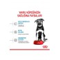 Maxi Puppy Büyük Irk Yavru Köpek Maması 15 Kg Maxi Puppy Büyük Irk Yavru Köpek Maması 15 Kg