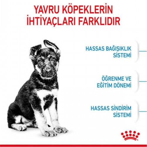 Maxi Puppy Büyük Irk Yavru Köpek Maması 15 Kg