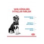 Maxi Puppy Büyük Irk Yavru Köpek Maması 15 Kg Maxi Puppy Büyük Irk Yavru Köpek Maması 15 Kg