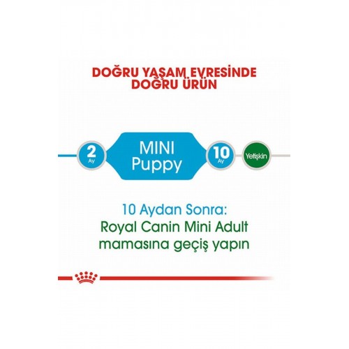 Mini Puppy Küçük Irk Yavru Köpek Maması 4 Kg Mini Puppy Küçük Irk Yavru Köpek Maması 4 Kg