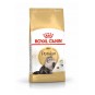 ® Persian Yetişkin Kedi Maması 2 Kg ® Persian Yetişkin Kedi Maması 2 Kg