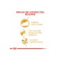 ® Persian Yetişkin Kedi Maması 2 Kg ® Persian Yetişkin Kedi Maması 2 Kg