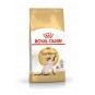 Cat Fbn Siamese Kedi Maması 2 Kg Cat Fbn Siamese Kedi Maması 2 Kg