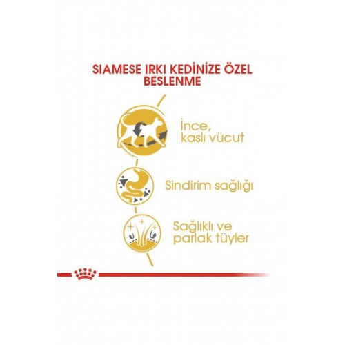 Cat Fbn Siamese Kedi Maması 2 Kg Cat Fbn Siamese Kedi Maması 2 Kg