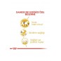Cat Fbn Siamese Kedi Maması 2 Kg Cat Fbn Siamese Kedi Maması 2 Kg