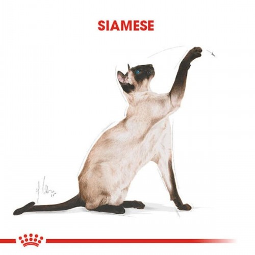 Cat Fbn Siamese Kedi Maması 2 Kg