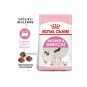 Babycat 34 Yavru Kuru Kedi Maması 2 Kg Babycat 34 Yavru Kuru Kedi Maması 2 Kg