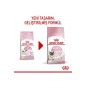 Babycat 34 Yavru Kuru Kedi Maması 2 Kg Babycat 34 Yavru Kuru Kedi Maması 2 Kg