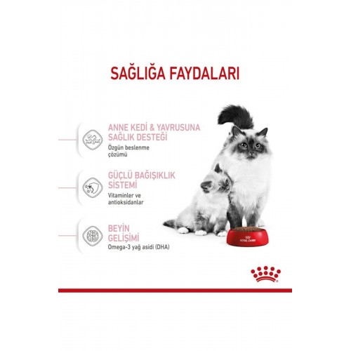 Babycat 34 Yavru Kuru Kedi Maması 2 Kg Babycat 34 Yavru Kuru Kedi Maması 2 Kg