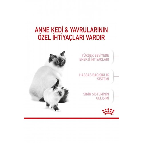 Babycat 34 Yavru Kuru Kedi Maması 2 Kg Babycat 34 Yavru Kuru Kedi Maması 2 Kg