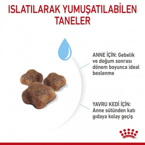 Babycat 34 Yavru Kuru Kedi Maması 2 Kg
