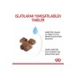 Babycat 34 Yavru Kuru Kedi Maması 2 Kg Babycat 34 Yavru Kuru Kedi Maması 2 Kg