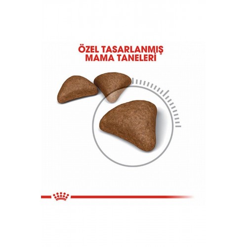 Hairball Tüy Yumağı Önleyici Yetişkin Kedi Maması 2 Kg Hairball Tüy Yumağı Önleyici Yetişkin Kedi Maması 2 Kg