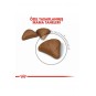 Hairball Tüy Yumağı Önleyici Yetişkin Kedi Maması 2 Kg Hairball Tüy Yumağı Önleyici Yetişkin Kedi Maması 2 Kg