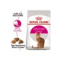 Exigent Hassas 35/30 Kuru Kedi Maması 10 Kg Exigent Hassas 35/30 Kuru Kedi Maması 10 Kg