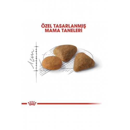 Exigent Hassas 35/30 Kuru Kedi Maması 10 Kg Exigent Hassas 35/30 Kuru Kedi Maması 10 Kg