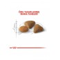 Exigent Hassas 35/30 Kuru Kedi Maması 10 Kg Exigent Hassas 35/30 Kuru Kedi Maması 10 Kg