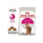 Savour Exigent Seçici Kediler Için Yetişkin Kedi Maması 2 Kg Savour Exigent Seçici Kediler Için Yetişkin Kedi Maması 2 Kg