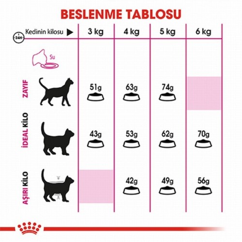 Savour Exigent Seçici Kediler Için Yetişkin Kedi Maması 2 Kg Savour Exigent Seçici Kediler Için Yetişkin Kedi Maması 2 Kg