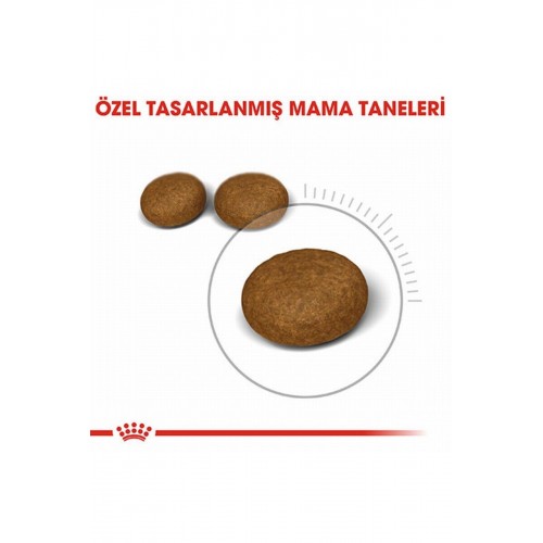 Hair Skin Adult Hassas Tüy Sağlığı Yetişkin Kedi Maması 2 Kg Hair Skin Adult Hassas Tüy Sağlığı Yetişkin Kedi Maması 2 Kg