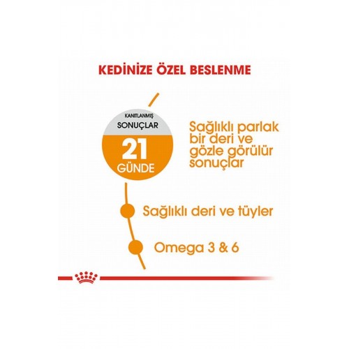 Hair Skin Adult Hassas Tüy Sağlığı Yetişkin Kedi Maması 2 Kg Hair Skin Adult Hassas Tüy Sağlığı Yetişkin Kedi Maması 2 Kg