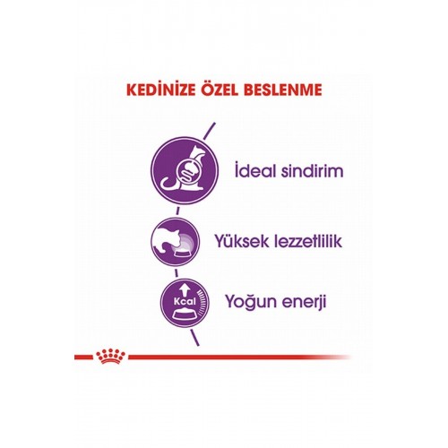 Sensible 33 Hassas Sindirim Sistemi Destekleyici Yetişkin Kedi Maması 2 Kg Sensible 33 Hassas Sindirim Sistemi Destekleyici Yetişkin Kedi Maması 2 Kg