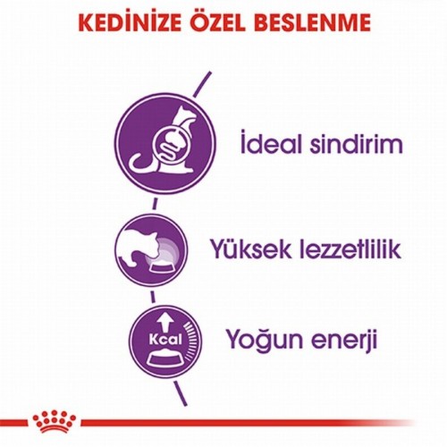 Sensible 33 Hassas Sindirim Sistemi Destekleyici Yetişkin Kedi Maması 2 Kg Sensible 33 Hassas Sindirim Sistemi Destekleyici Yetişkin Kedi Maması 2 Kg
