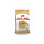 Chihuahua Adult Yetişkin Köpek Maması 1,5 Kg Chihuahua Adult Yetişkin Köpek Maması 1,5 Kg